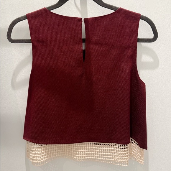 Club Monaco Maroon Layered Mesh Boxy Crop Top - Picture 3 of 4
